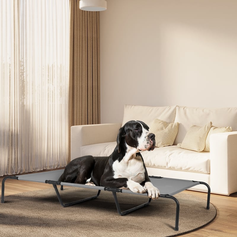Large Elevated Dog Bed with Powder Coated Steel Frame Suitable for Large Dogs - 60"D x 37"W x 9"H