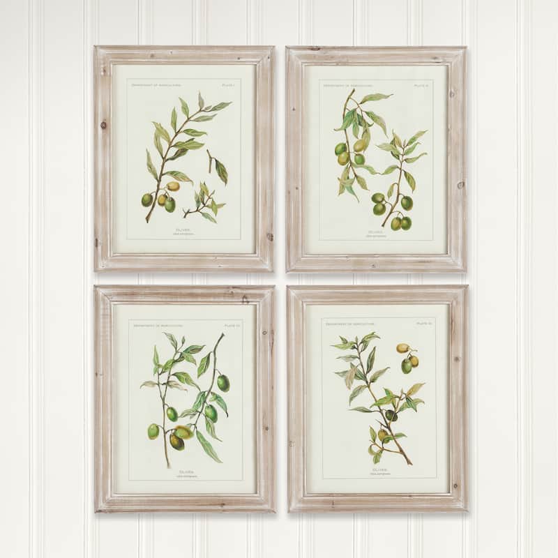 Framed Olive Leaf Botanical Prints, Set Of 4