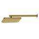 Option Brushed Brass