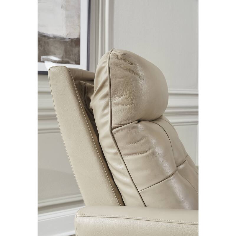 Signature Design by Ashley Pisgham Power Recliner