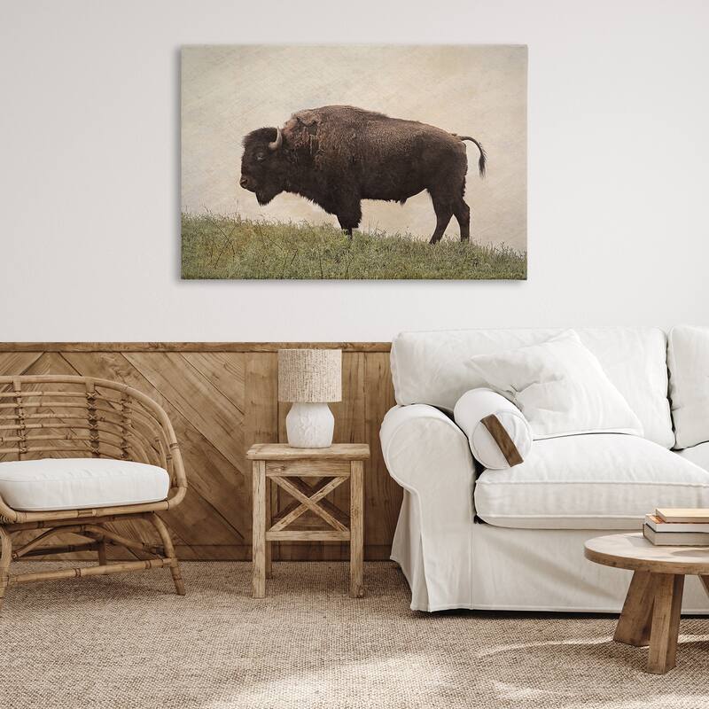 Stupell Serene Buffalo on Country Hill Canvas Wall Art Design By Steve Toole