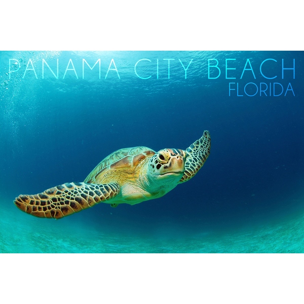 Poker In Panama City Florida Poker In Panama City Florida