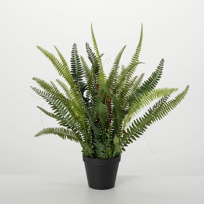 Sullivans Artificial 21" Lush Black-Potted Fern, Green - 21