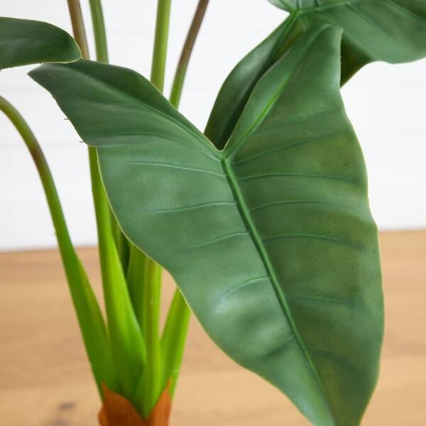 all white snake plants Sansevieria Gabriella White Albo Variegated Snake Easy Care 4” Pot Hou main image 0