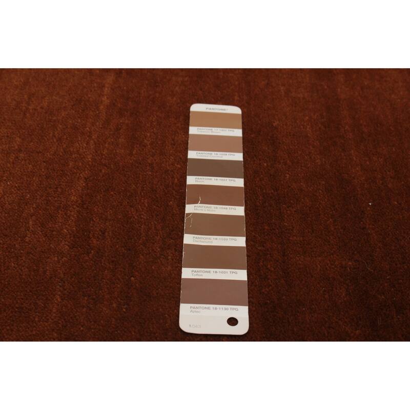 Kashkuli Gabbeh Brown Rug 2'8" x 11'1" - 2'8 x 11'1