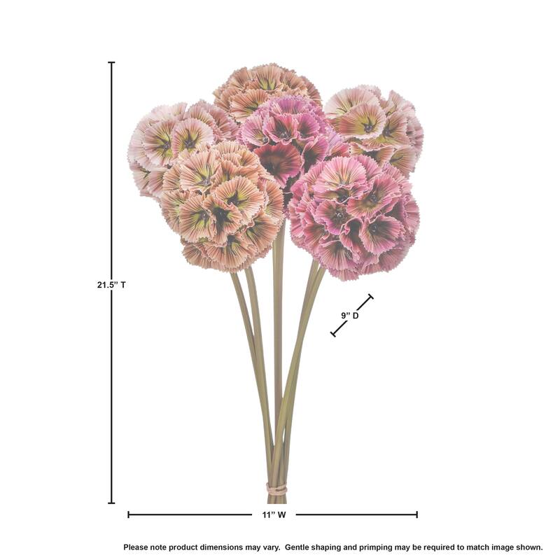 Scabiosa Bundle 21.5"