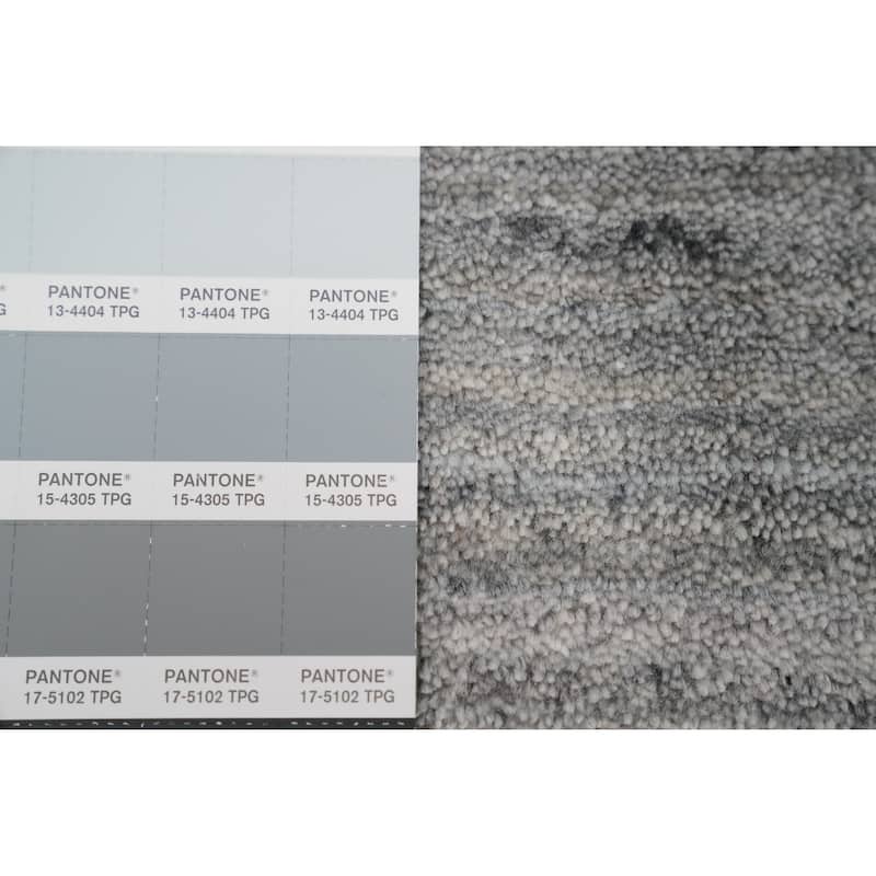 Hand Knotted Oriental Viscose Silk Carpet Tribal Animal Pictorial Greys & Charcoal Gabbeh Area Rug - 11' 10'' X 5' 1''