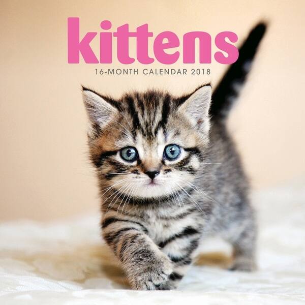 Shop Kittens Mini Wall Calendar Kittens By Vista Stationery