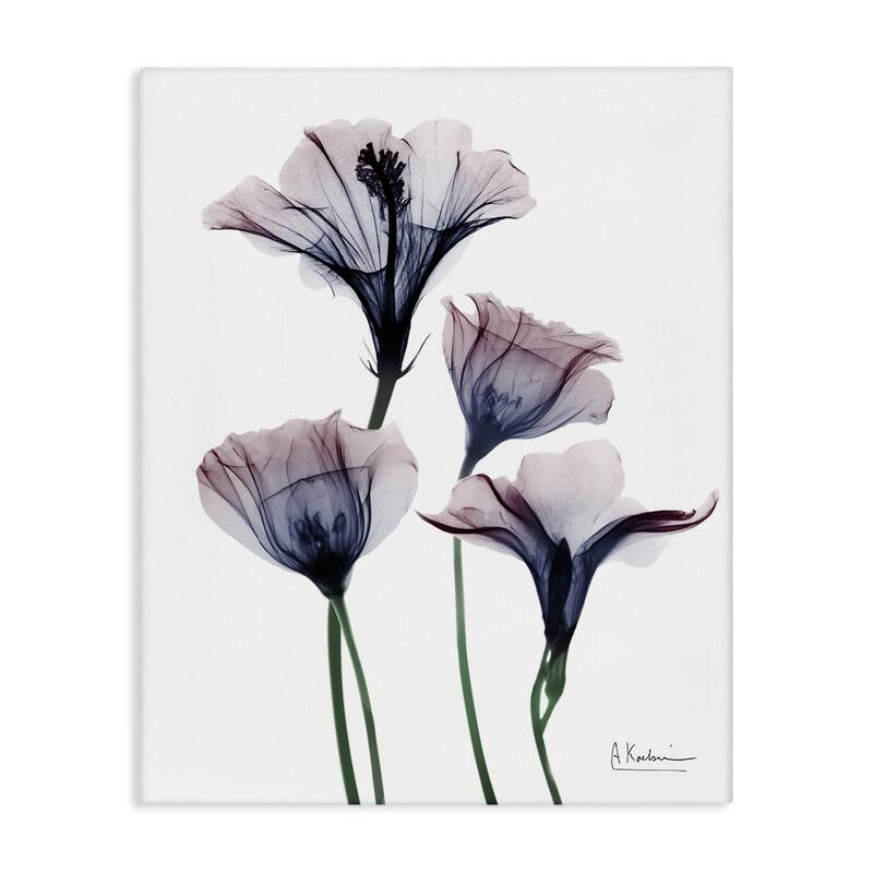 Stupell Bountiful Dusk Flowers Canvas Wall Art Design By Albert Koetsier - 30 x 40
