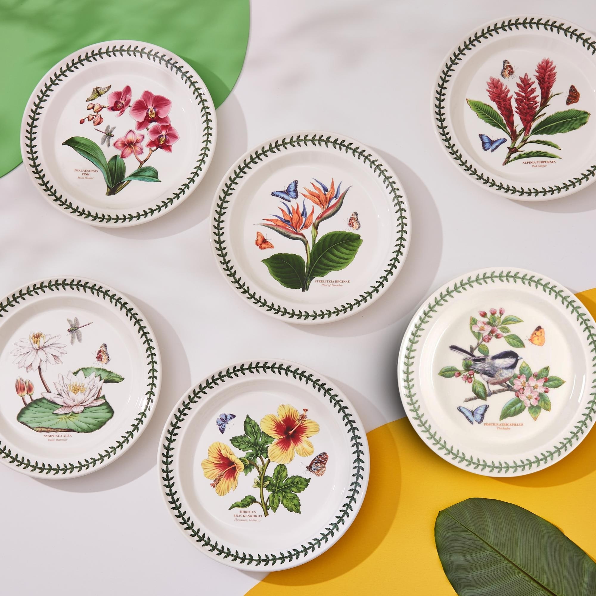 Portmeirion botanic garden plates best sale