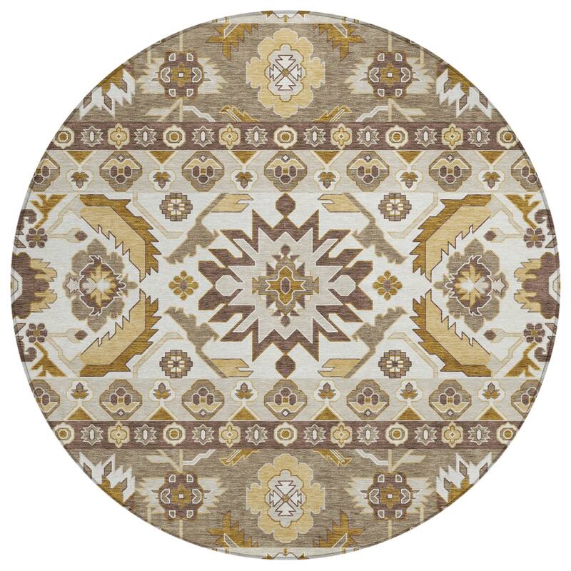 Machine Washable Indoor/ Outdoor Traditional Aspen Chantille Rug