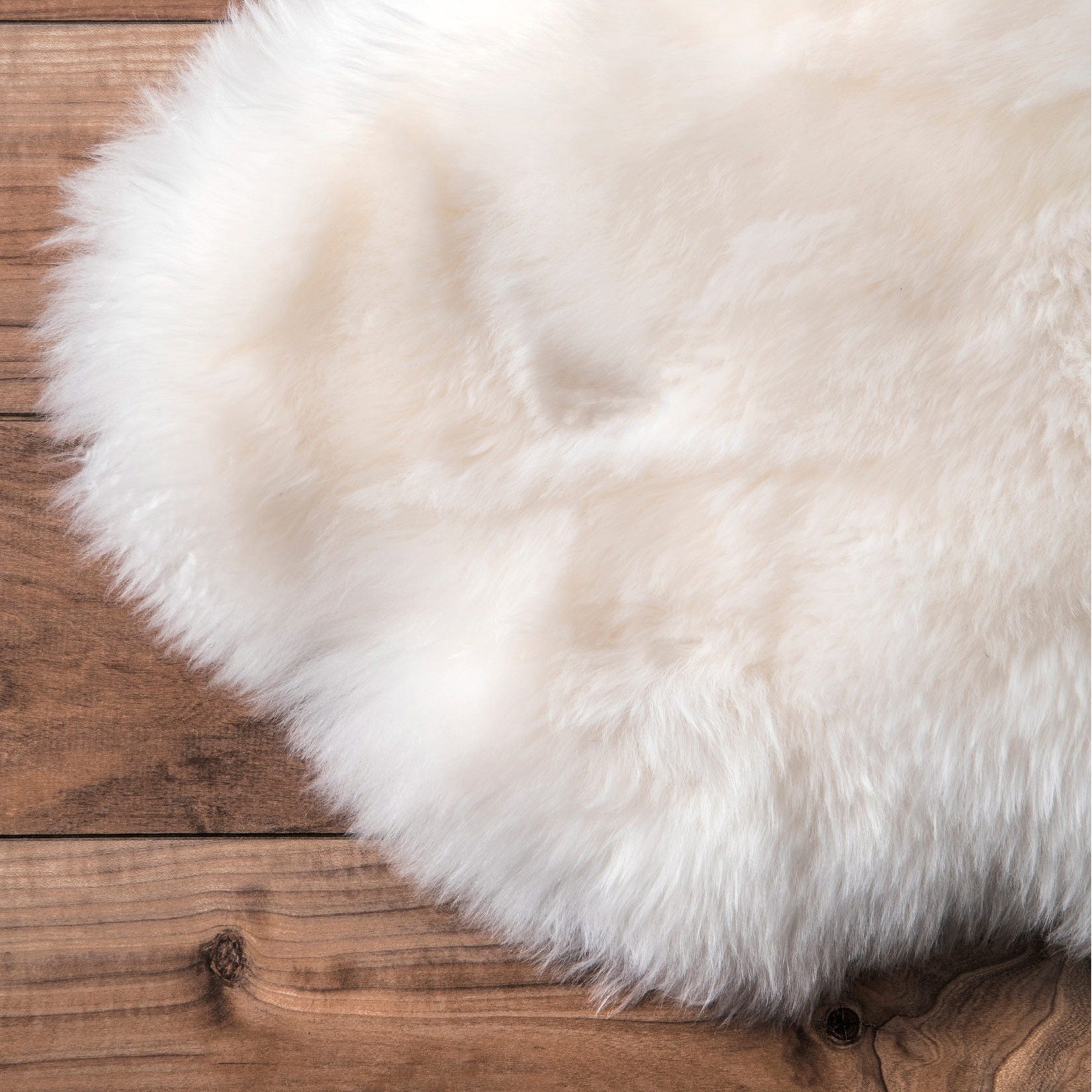 How To Clean Sheepskin Rugs لم يسبق له مثيل الصور Tier3 Xyz