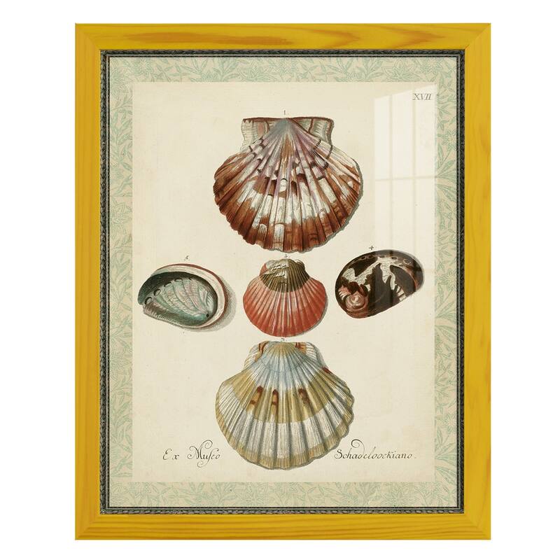 Bookplate Shells III -Framed Print w/glass-Cherry Red