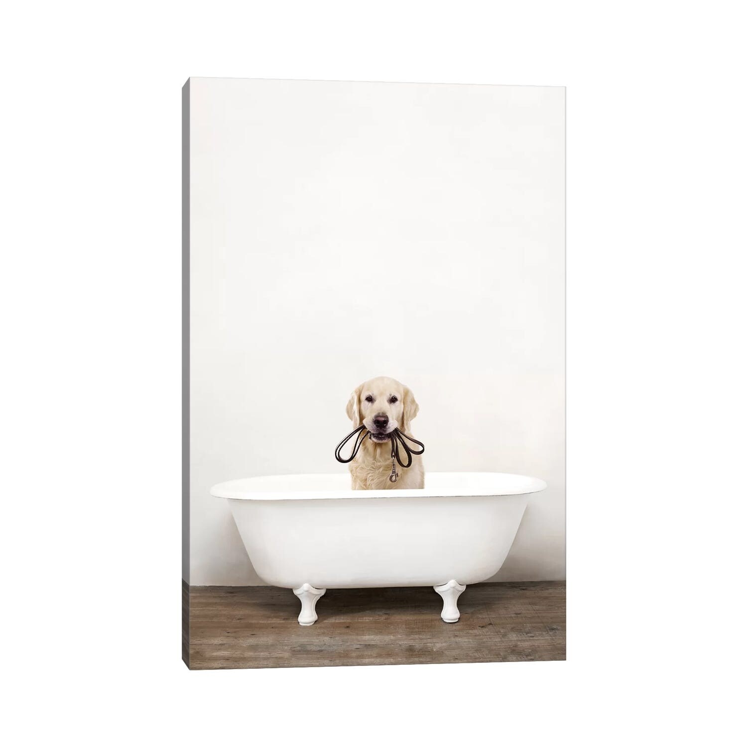 Icanvas Golden Retriever Dog In Vintage Bathtub By Amy Peterson Canvas Print Overstock 32949944