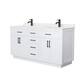 Option White, Black Trim, White Quartz Top