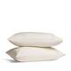 Option Parchment