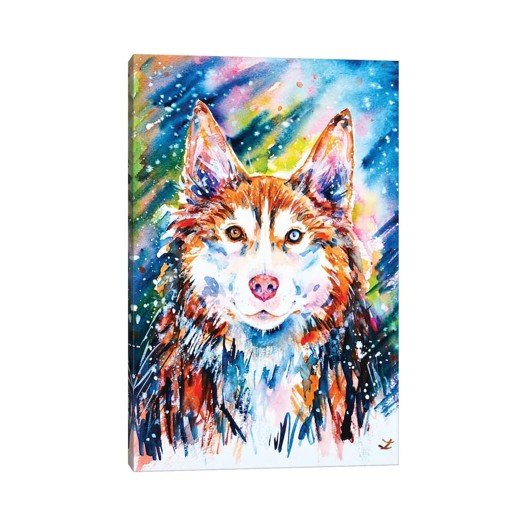 iCanvas "Husky" by Zaira Dzhaubaeva Canvas Print