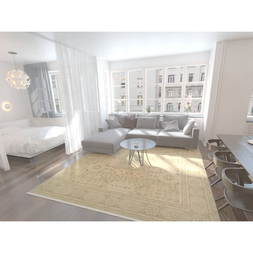 Traditional Cassia Collection Area Rug