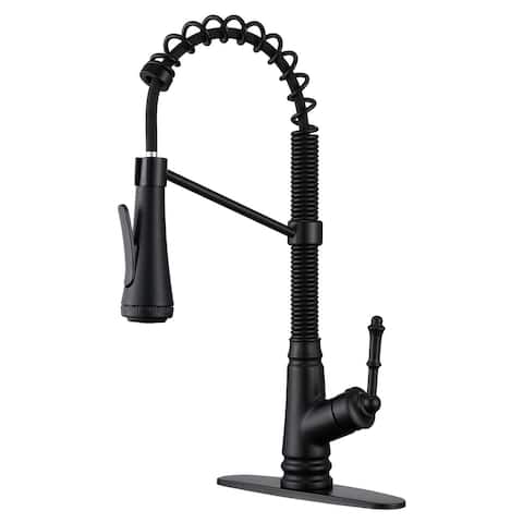 Single Handle Pull-out Kitchen Faucet with Deck Plate Matte Black