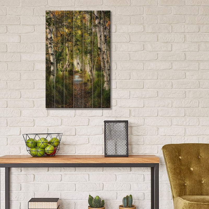 Birch Path I Print On Wood by Danny Head - Multi-Color