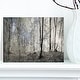 preview thumbnail 13 of 15, Designart "Dark Morning in Forest Panorama" Large Canvas Art Print - Multi-color 12 in. wide x 8 in. high