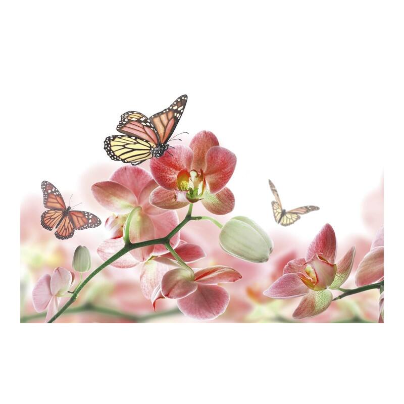 Dimex Orchids and Butterfly Wall Mural