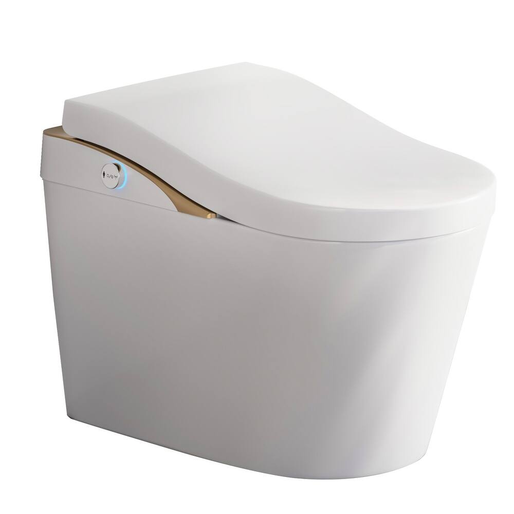 Smart Toilet with Bidet & Auto Flush