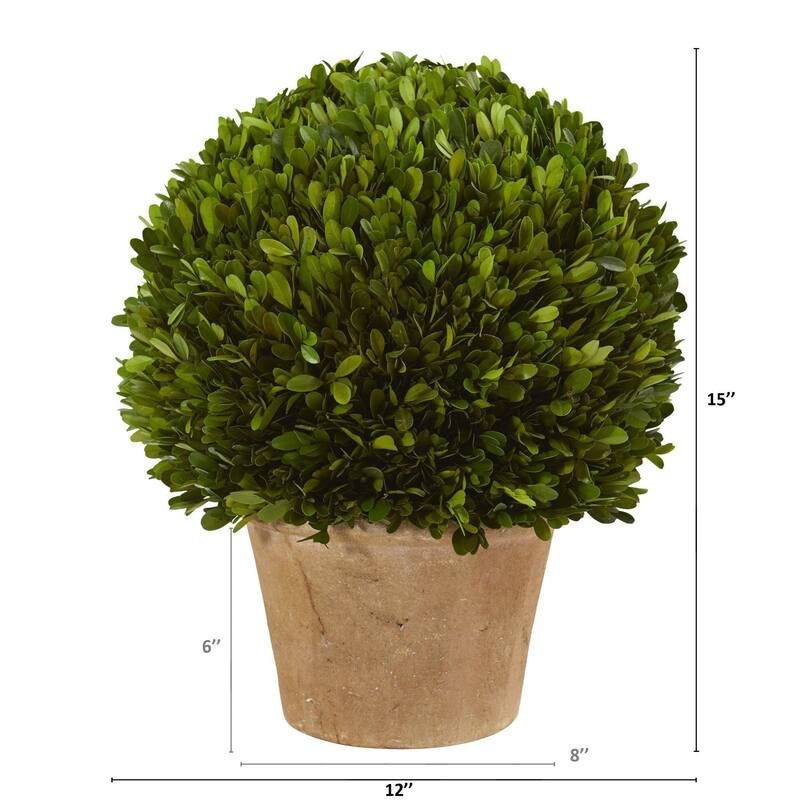 Nearly Natural 15" Boxwood Ball Preserved Plant in Planter - Green