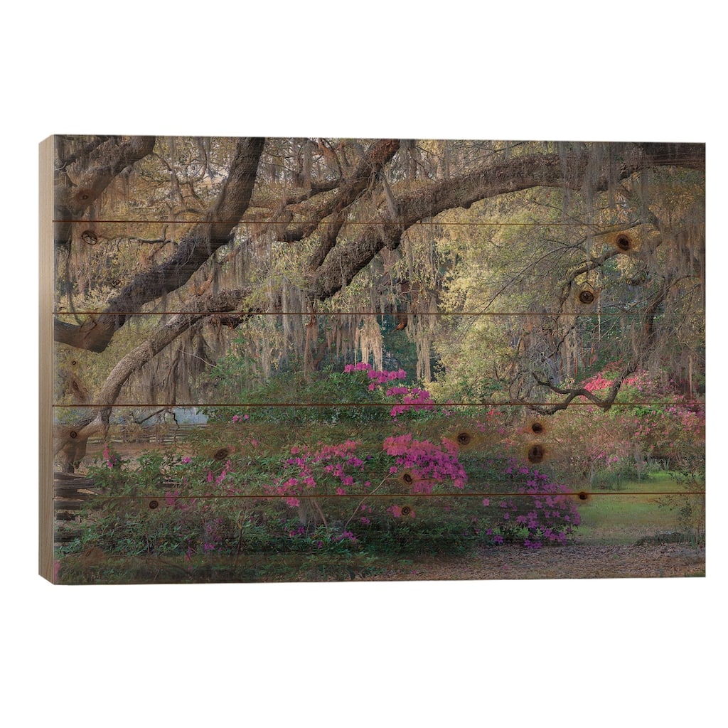 Oaks And Azaleas Print On Wood by H.J. Herrera - Multi-Color
