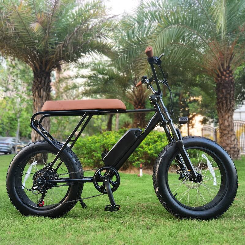 4" Wide Tires Shimano 6-Speed E-Bike with Removable Battery