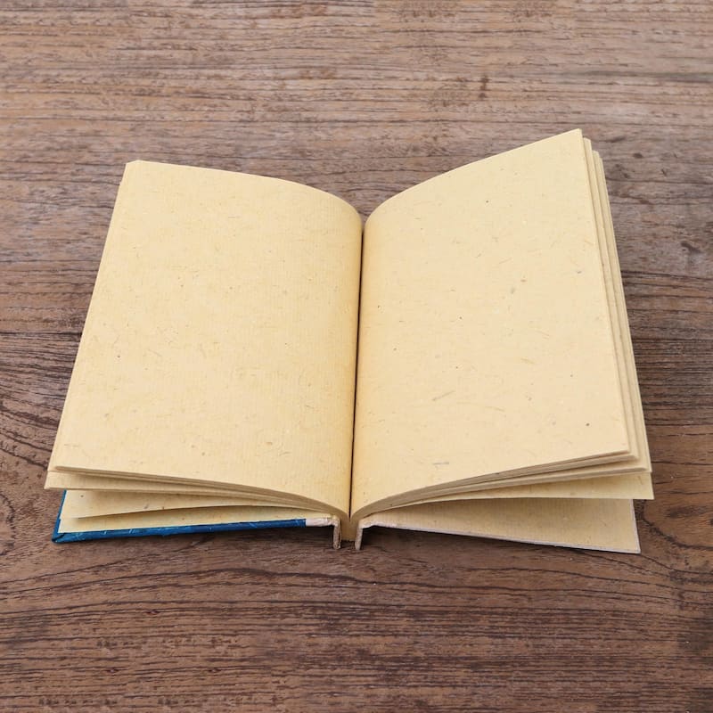 Novica Handmade Tortoise Thoughts In Blue Natural Fiber Journal