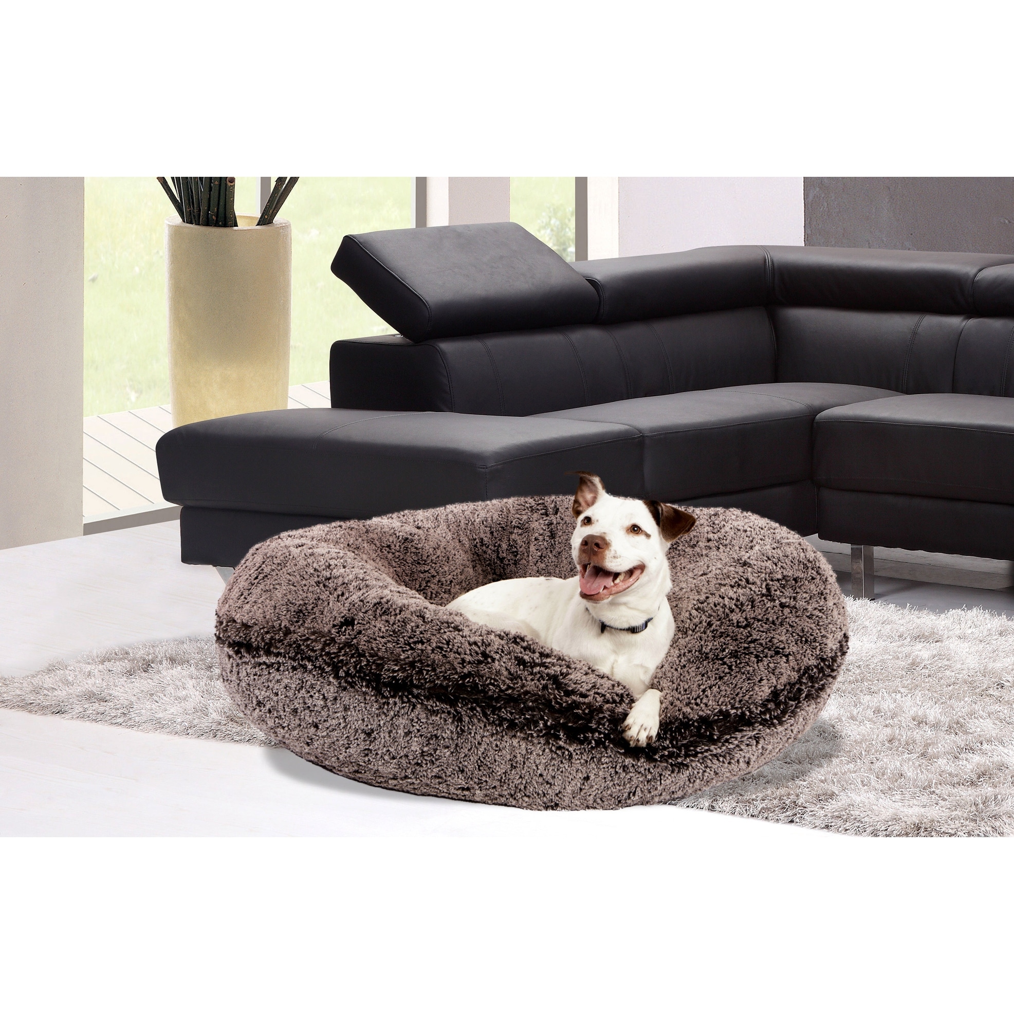 Extra Small Pet Supplies - Bed Bath & Beyond