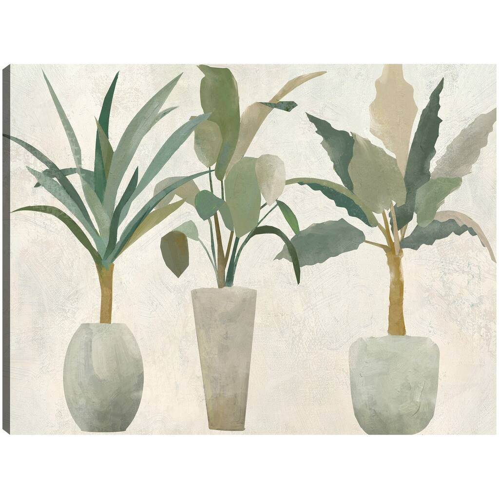 Greenery Trio By Studio Arts Canvas Art Print