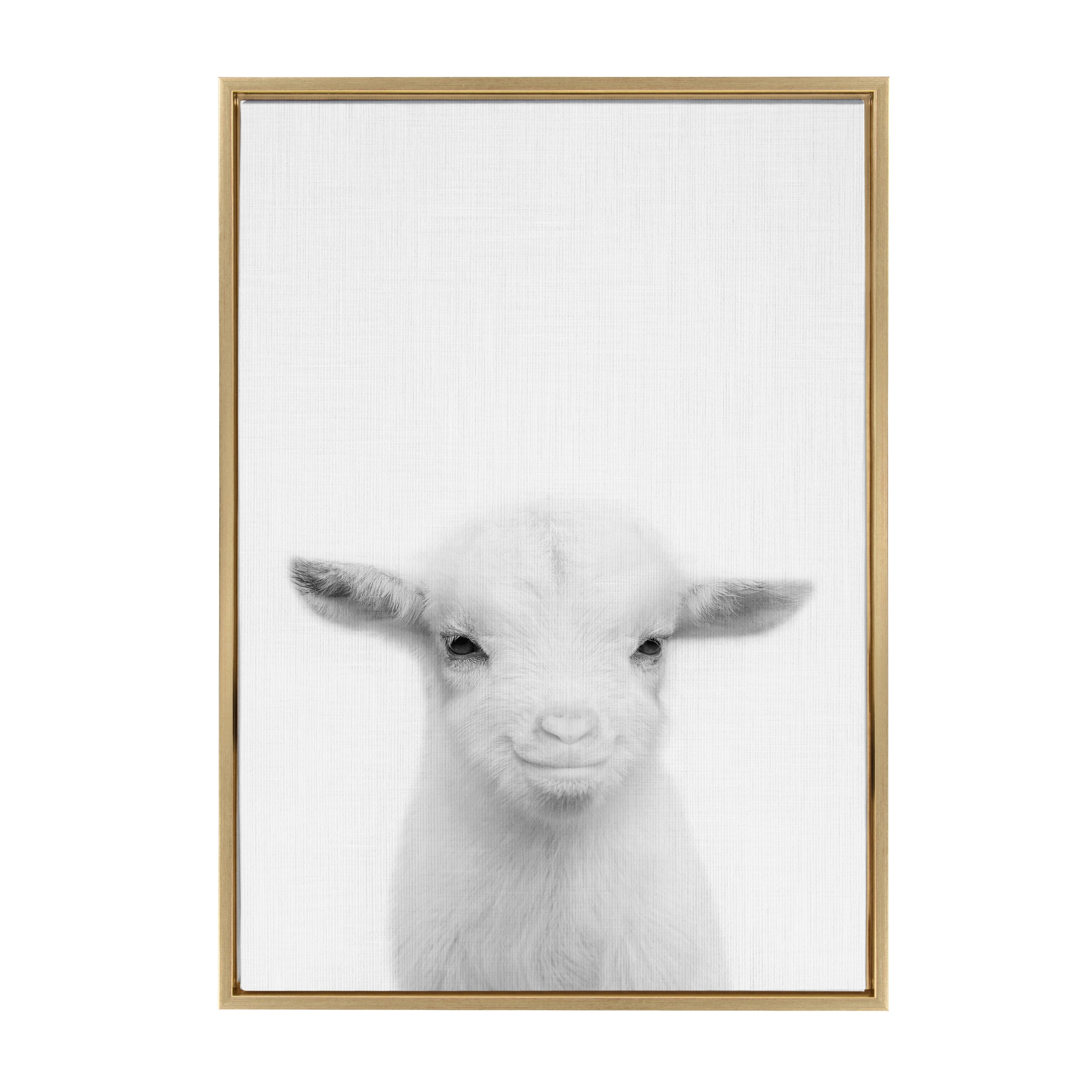 Kate and Laurel Sylvie Baby Goat Framed Canvas by Simon Te Tai Bed Bath   Beyond 15198503