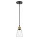 Option Clear / Black Antique Brass