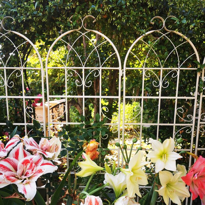 Metal Garden Trellis for Climbing Plants, 2/4 Pack Garden Fence Rustproof Vine Screen Trellis Frame Grow Support Outdoor Trellis
