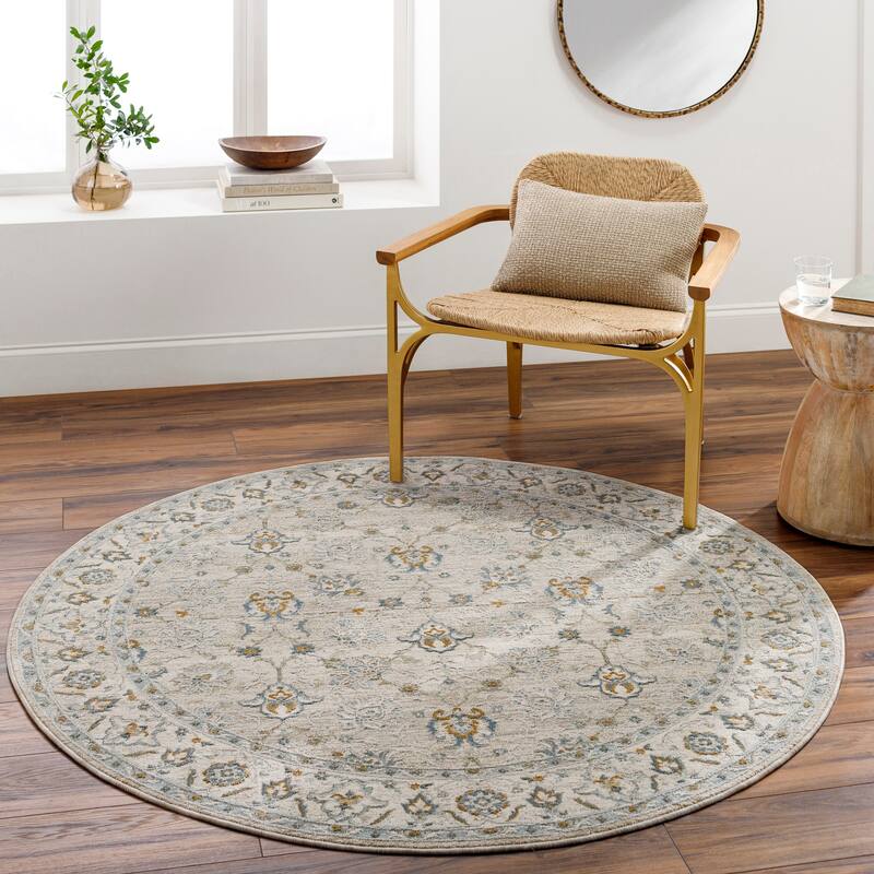 Jaylin Transitional Area Rug - Gray/Blue - 5' 3" x 5' 3" Round
