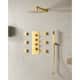 Option Brushed Gold