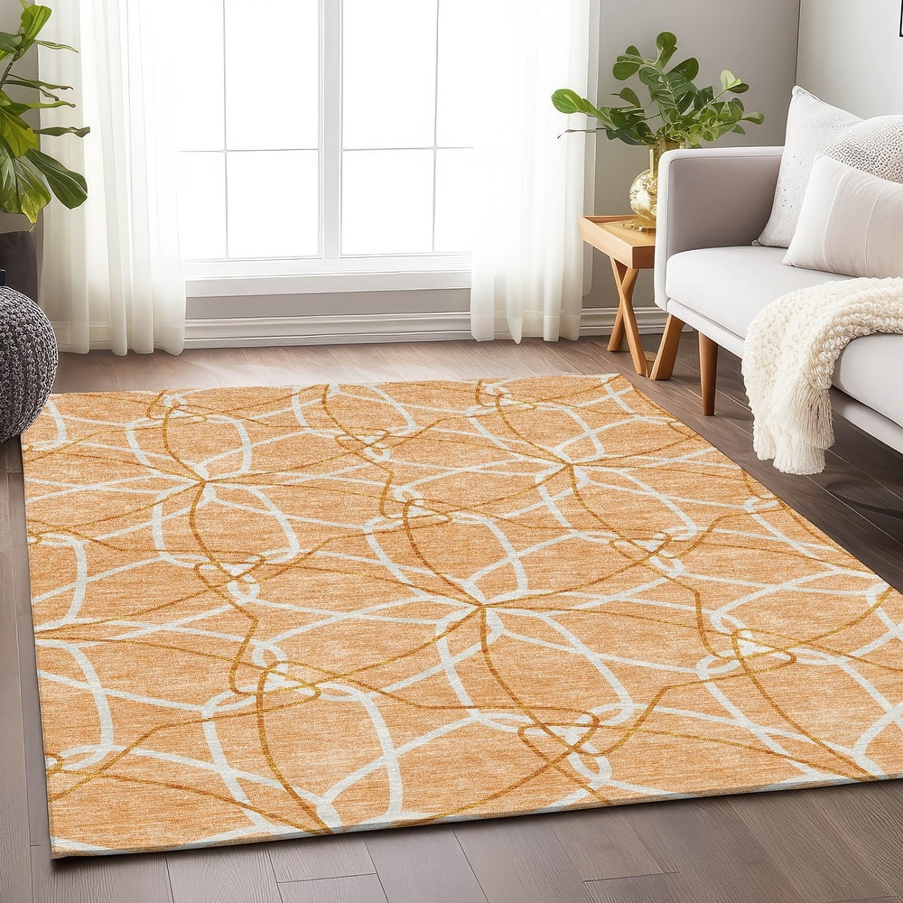 Premium Washable Super Soft Modern Floral Mayfield Rug