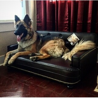 Shop Enchanted Home Pet Library Sofa - Free Shipping Today 