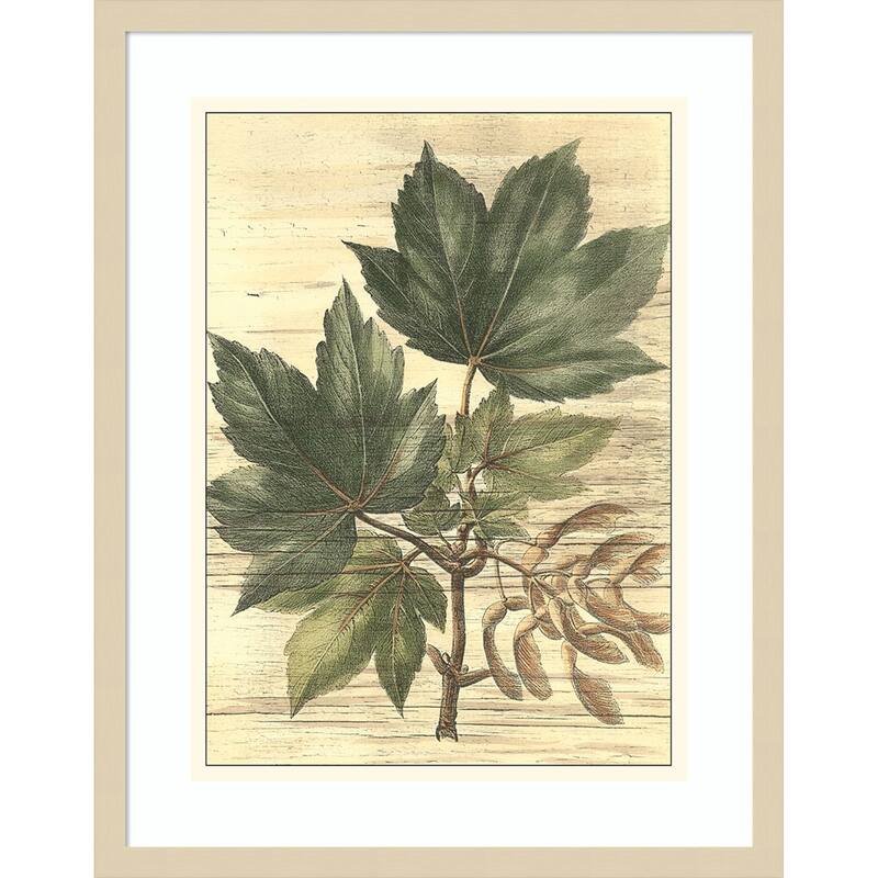 Weathered Maple Leaves No. 2 by Gerard Paul Deshayes Wood Framed Wall Art Print