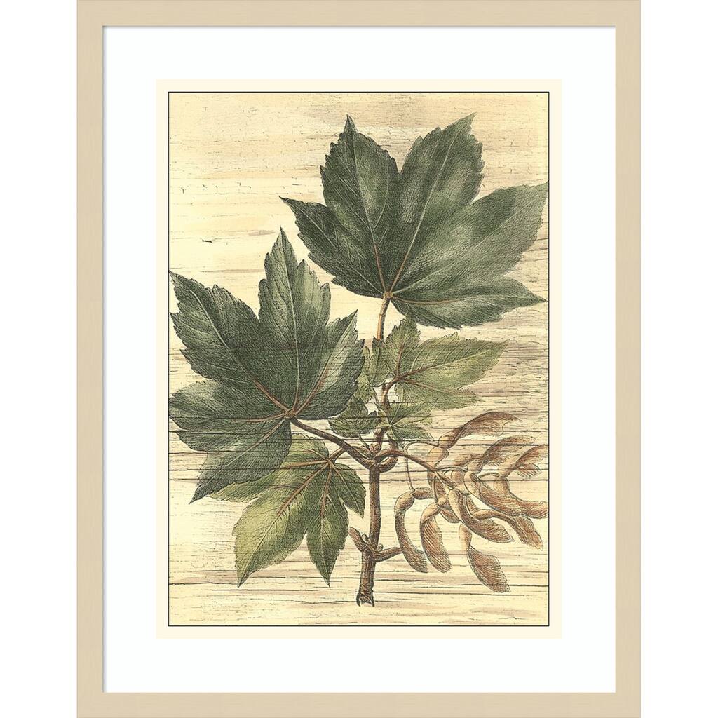 Weathered Maple Leaves No. 2 by Gerard Paul Deshayes Wood Framed Wall Art Print