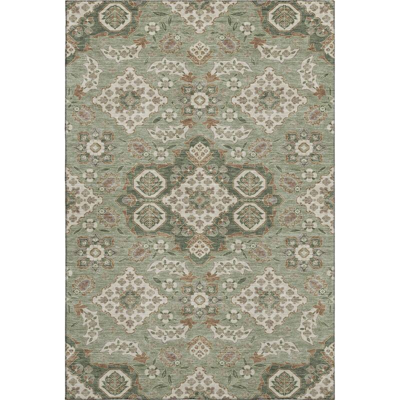 Premium Washable Super Soft Classic Traditional Mayfield Rug