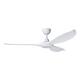 Option White