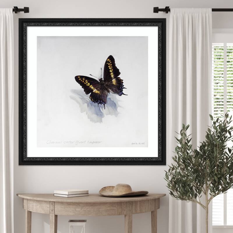 Giant Emperor Butterfly by Odile Kidd Wood Framed Wall Art Print - Downton Black