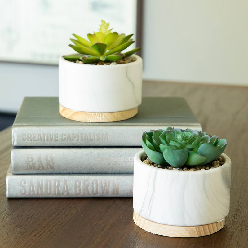 SET OF 2 Artificial Plant Succulent in Marble Finish Ceramic Pot w Wood Base - ONE-SIZE