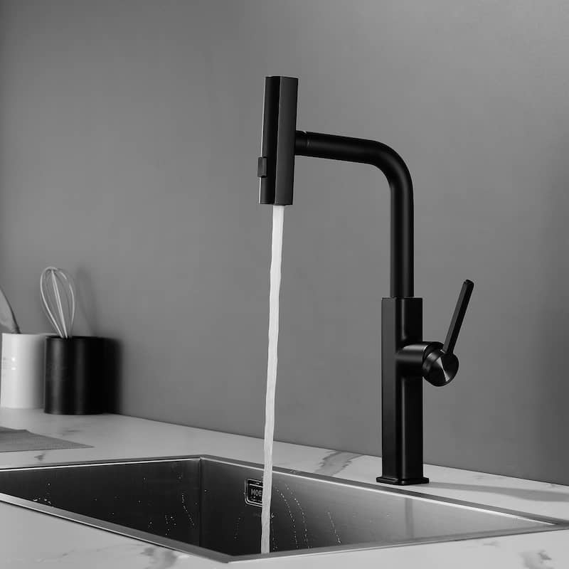 Single Handle Kitchen Faucet with Pull Out Sprayer Single Hole Brass Pull Out Kitchen Sink Faucets Matte Black