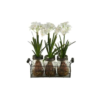 HomeStock Paper Whites in Glass Jars in Metal Holder - Vintage Faux Floral Set for Charming Décor - 14