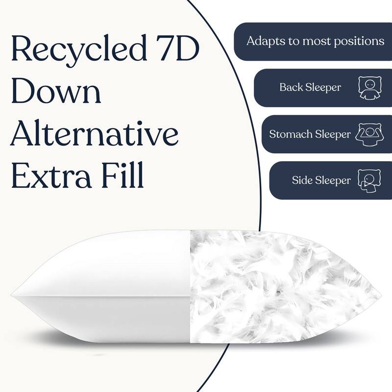 Delara Throw Pillow Inserts Organic Cotton, Down Alternative Fill, Set of 2