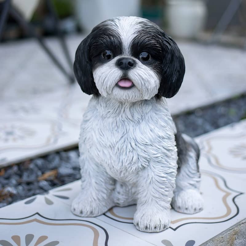 Sitting Baby Shih Tzu Outdoor Garden Statue - 12.5" - White and Black